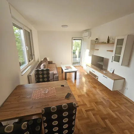 Zidart Lux Apartment Pistelici